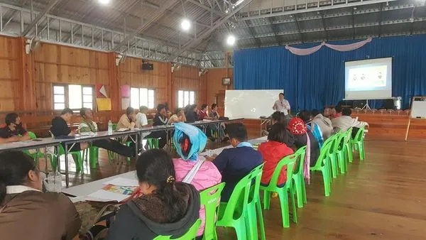 การเป็นพี่เลี้ยง,ให้คำปรึกษา